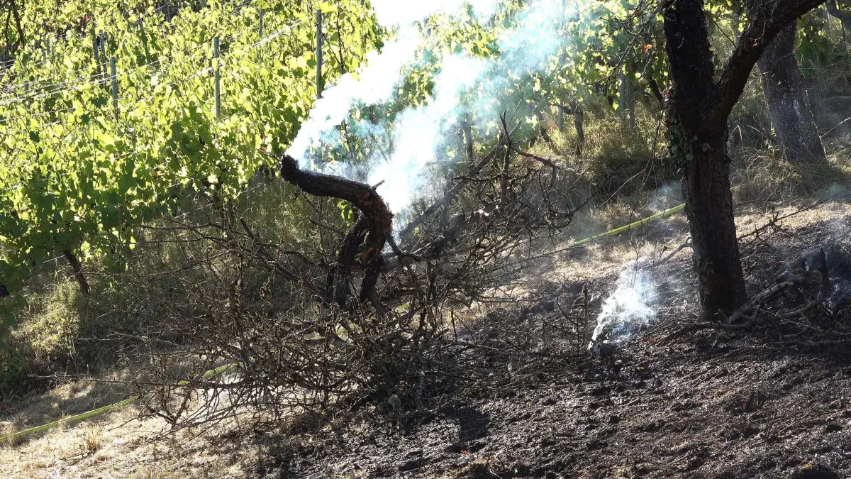 Die Feuerwehr schaut, dass alle Glutnester beseitigt werden. Brand im Weinberg auf dem Grafenberg