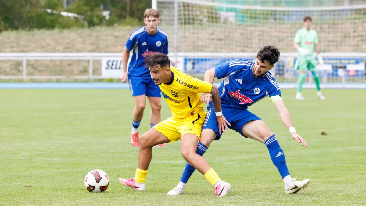 TSV Sindelfingen - SV Waldhausen: Sindelfingen, Landesliga, TSV Sindelfingen gegen SV Waldhausen, 10 Gianluca Gamucca