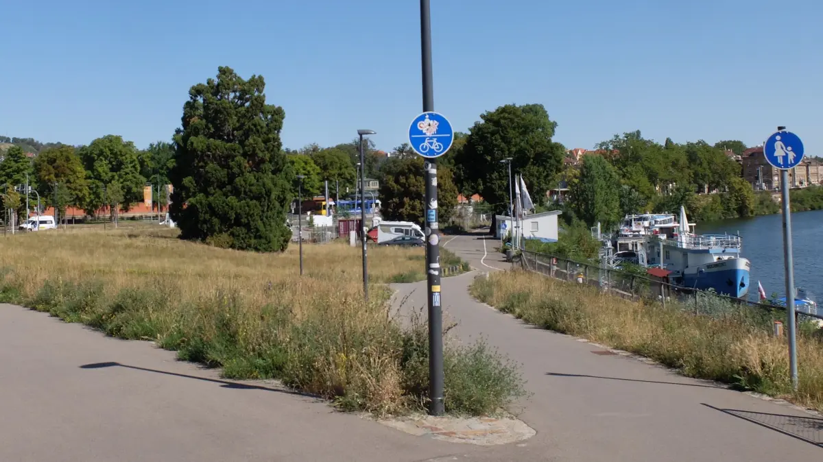 In diesem Bereich zwischen Neckartalstraße und Schiffsanlegestelle ist das Zwergflusspferde-Projekt geplant. Auch im aktuellen Masterplan der Wilhelma ist es aufgeführt.