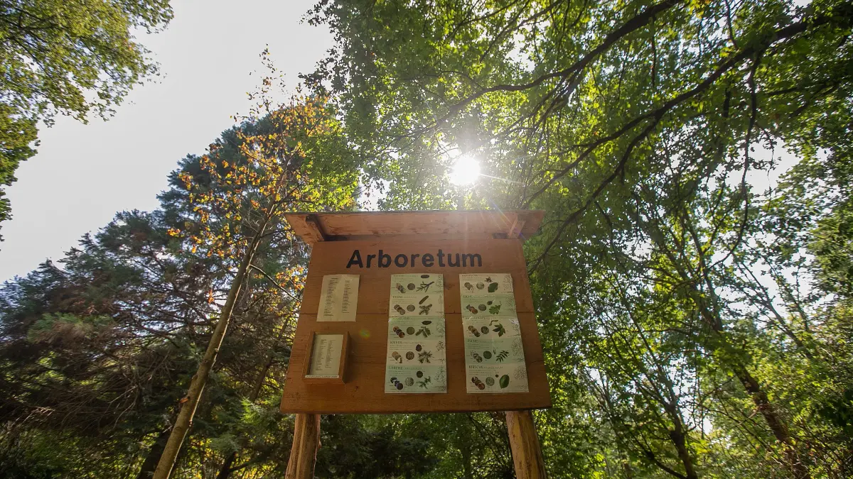 foto: Roberto Bulgrin
17. 08. 2026
Esslingen, Berkheim, Arboretum