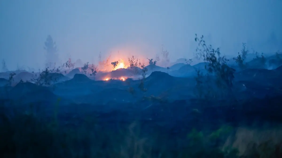 Blick auf verbrannte Vegetation und verbrannten Waldboden. Weite Teile des Hohen Venn an der Grenze zu Deutschland sind von den Flammen betroffen.