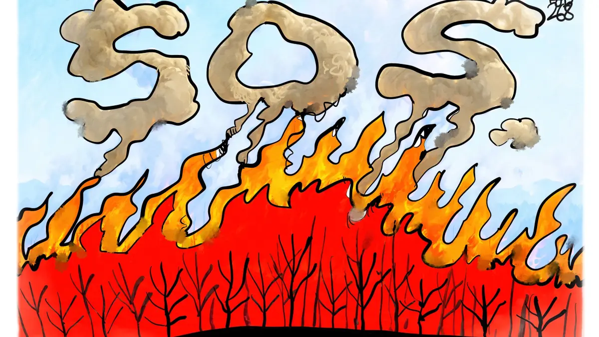 Auch in Deutschland brennen die ersten Wälder