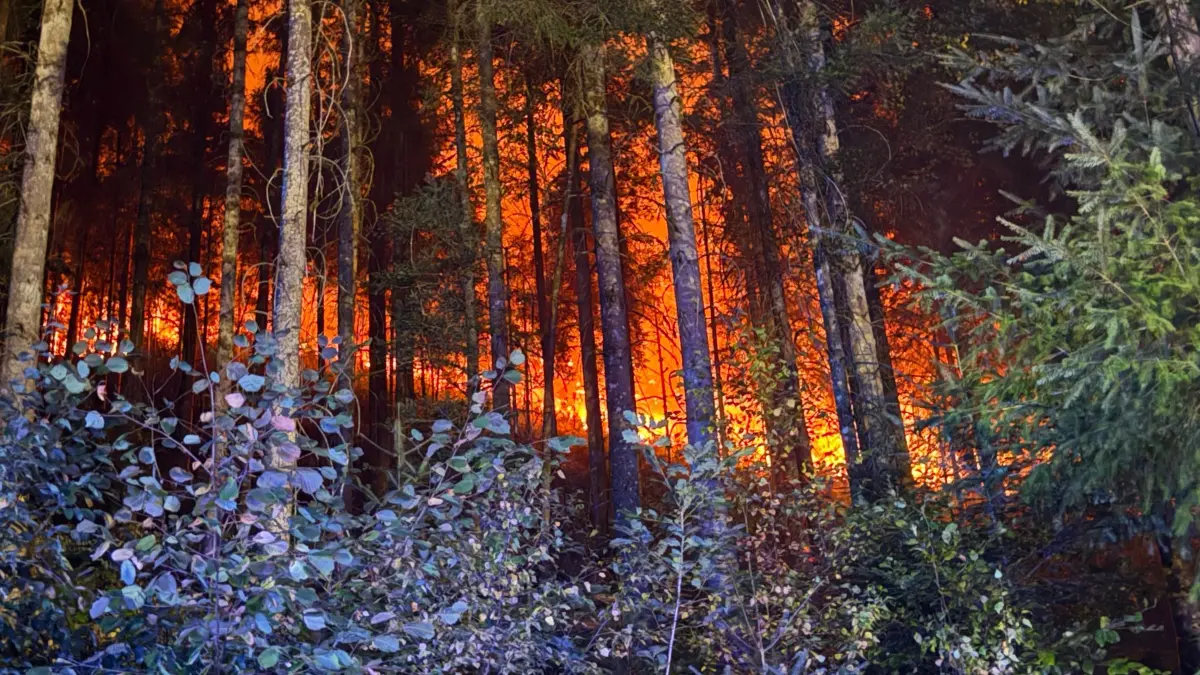 Waldbrand bei Schramberg