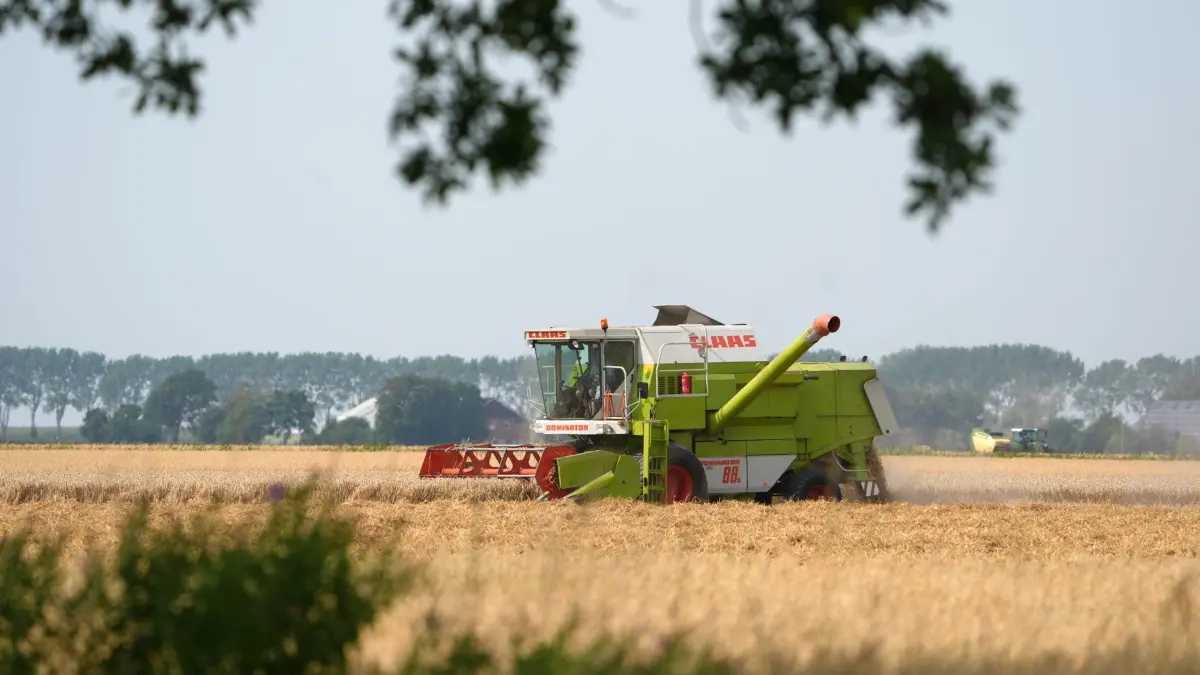 Ernte in Schleswig-Holstein: ARCHIV - 30.07.2026, Schleswig-Holstein, Friedrichskoog: Ein Mähdrescher fährt während der Erntearbeiten über ein Feld. (zu dpa: ««Aktionsbündnis Ländliche Räume» gegründet») Foto: Marcus Brandt/dpa +++ dpa-Bildfunk +++