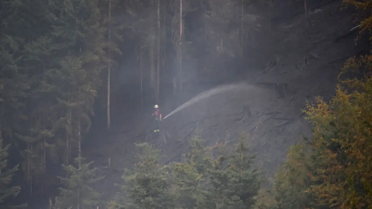 Hundreds of firefighters: Forest fire near Schramberg - | Mop-up ...