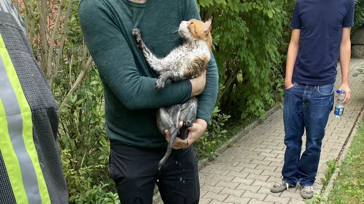 Die Feuerwehr Gerlingen hat eine Katze aus einem engen Abflussrohr befreit.