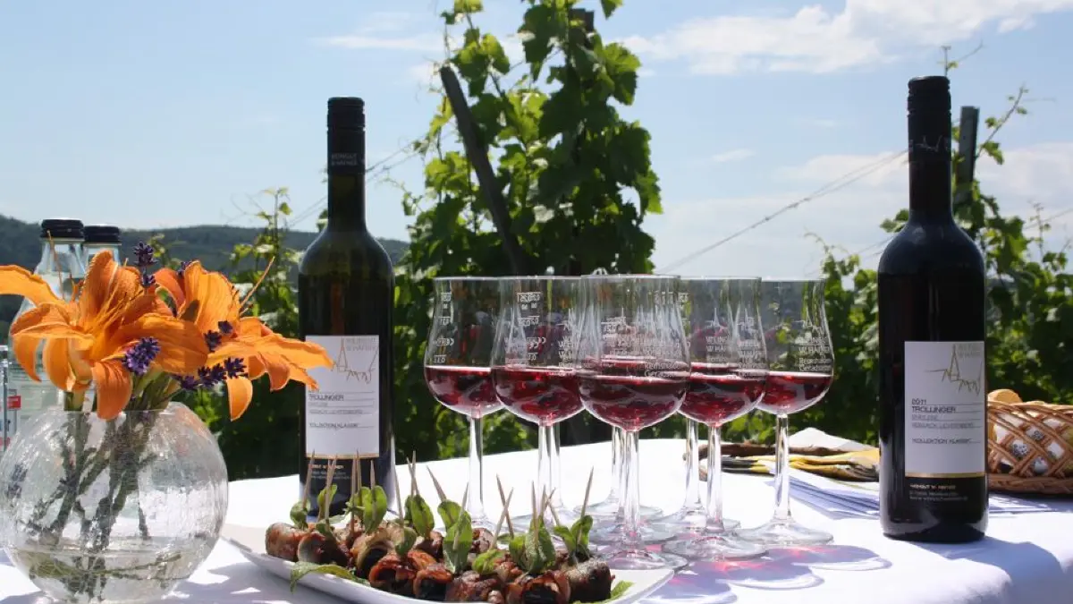 Weinwanderung Häfner
