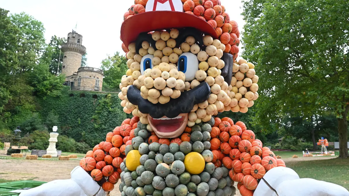 Blüba Ludwigsburg
Kürbisausstellung 2026
Let s Play Jucker