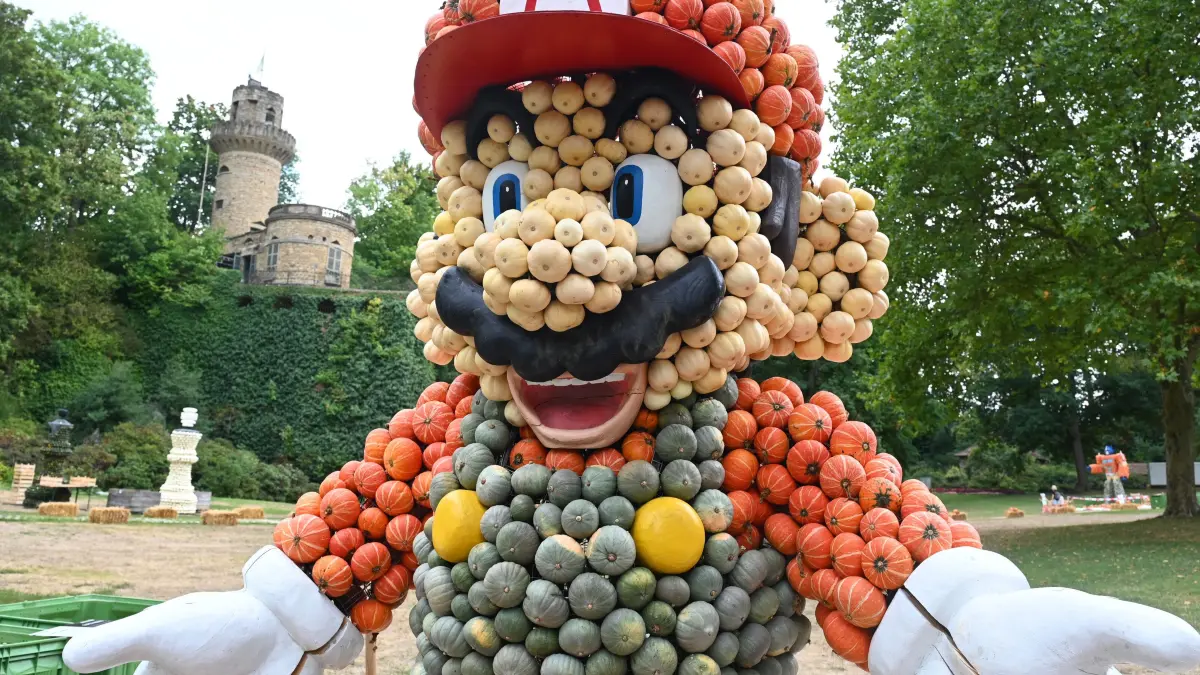 Blüba Ludwigsburg
Kürbisausstellung 2026
Let s Play Jucker