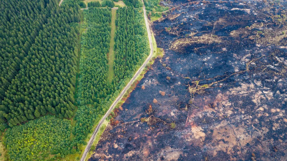 Waldbrand im Hohen Venn