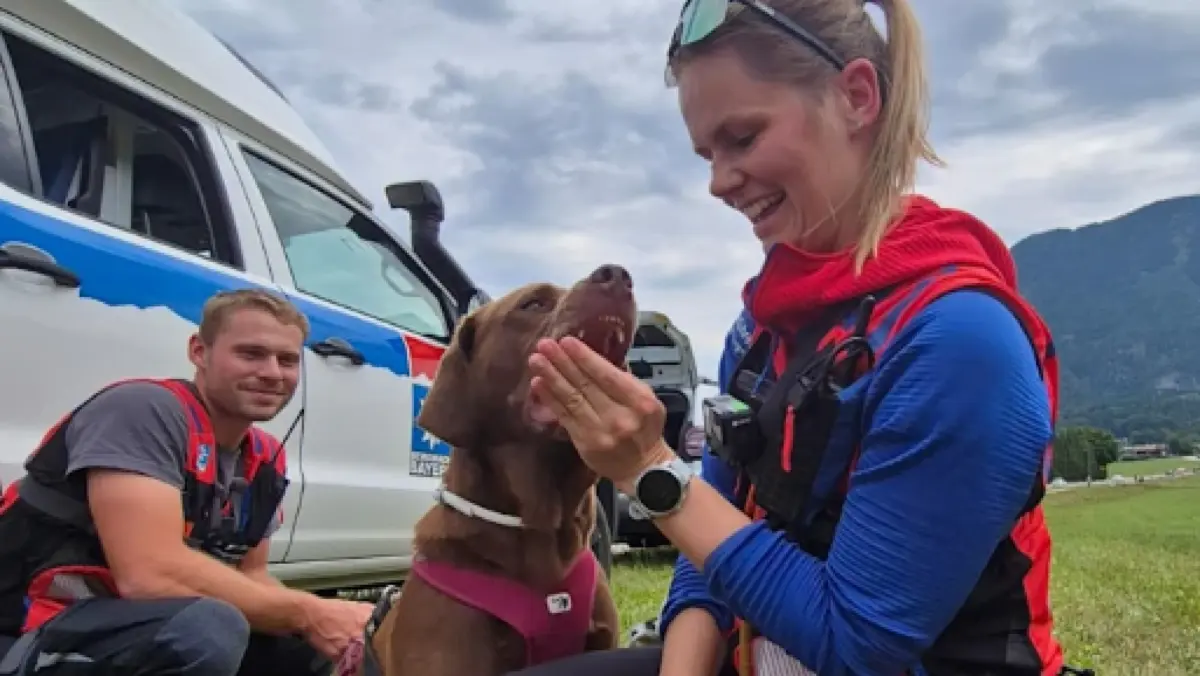 Geretteter Labrador-Hund.