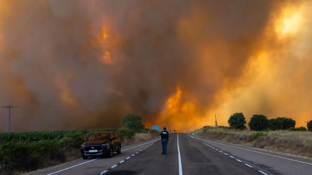 Dichter Rauch ist während eines Waldbrandes am Rande einer Landstraße im Naturpark Arribes del Duero im spanischen Fermoselle zu sehen.
