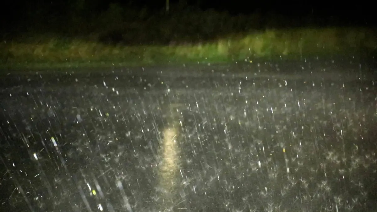 Unwetter über Mitteldeutschland sorgt für Feuerwehreinsätze: RECORD DATE NOT STATED 260820UnwetterPlauen News ID: EN 2026-08-20 Unwetter über Mitteldeutschland sorgt für Feuerwehreinsätze Plauen. Kräftige Gewitter sind in der vergangenen Nacht gegen 23 Uhr über weite Teile Mitteldeutschlands gezogen und haben dabei für Feuerwehreinsätze gesorgt. Im Vogtland stürzten durch die schweren Sturmböen, Bäume um. So auch auf der Kemmlerstraße in Plauen. Hier rückte die Berufsfeuerwehr Plauen an, um den Sturmschaden zu beseitigen. Hierfür wurde die Straße kurzfristig gesperrt und die Einsatzstelle ausgeleuchtet. Mit einer Kettensäge wurde der Baum zerkleinert und von der Straße geräumt. Neben dem Sturm kam es auch zu Starkregen, welcher zu Aquaplaning auf den Straßen führte. Verletzte durch das Unwetter gab es e