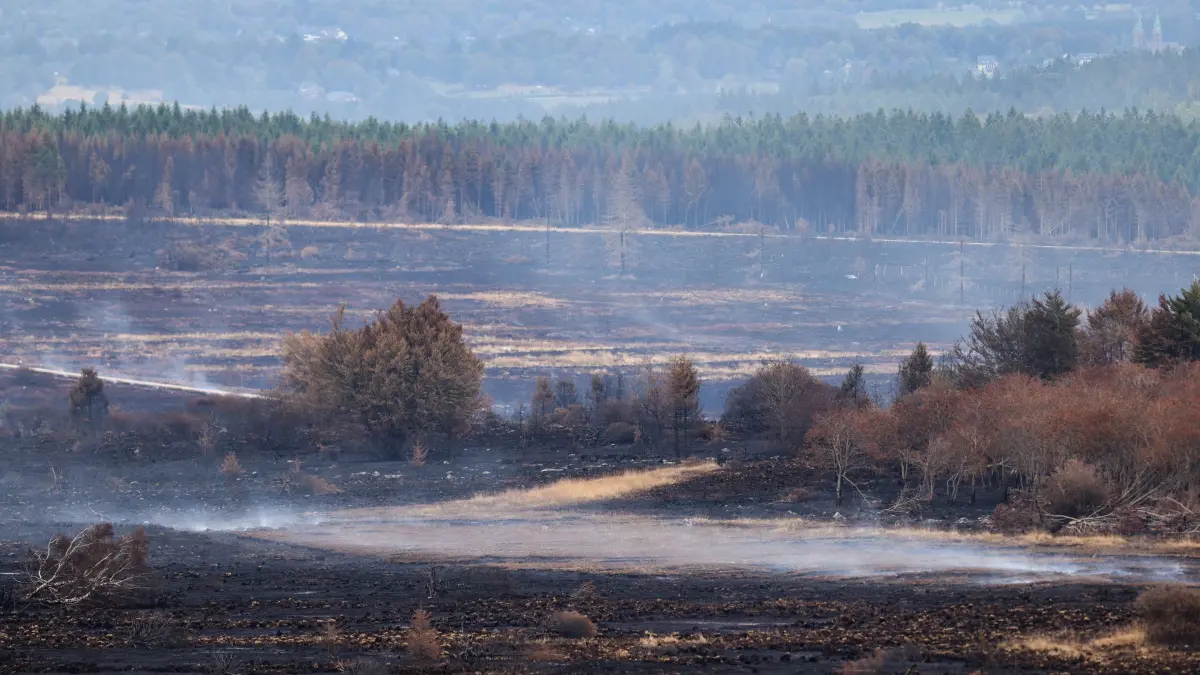 Waldbrand im Hohen Venn: 20.08.2026, Belgien, Sourbrodt: Kilometerweit sind von einem Aussichtspunkt auf belgischer Seite nur verbrannte Flächen im Naturschutzgebiet Hohes Venn zu sehen. Foto: Christoph Reichwein/dpa +++ dpa-Bildfunk +++