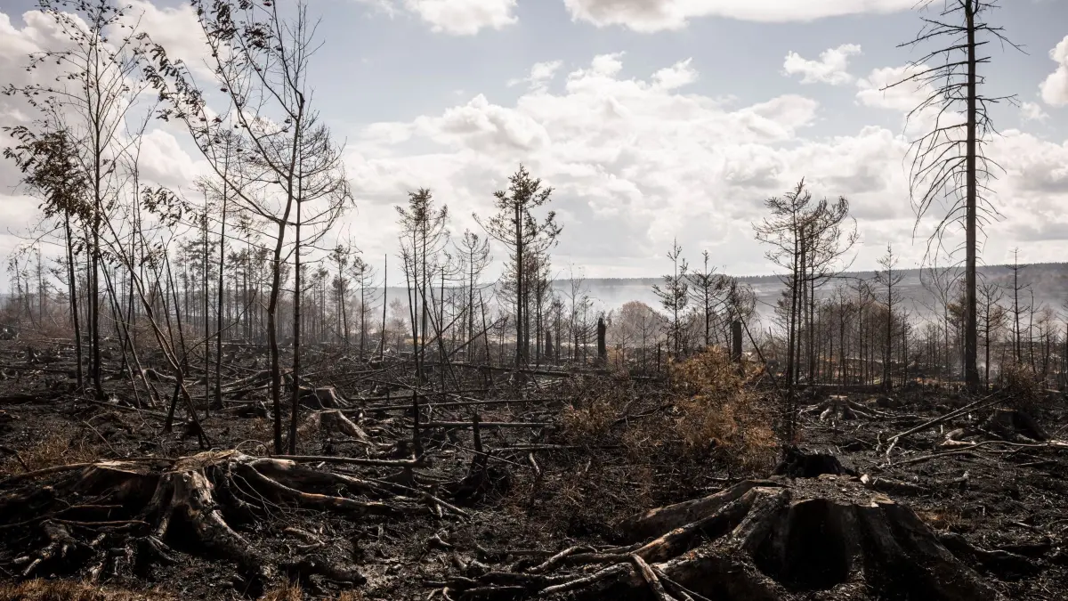 Waldbrand im Hohen Venn: 21.08.2026, Belgien, Waimes: Bei Waldbränden steigt Rauch aus der verkohlten Landschaft des Hohen Venn auf. Foto: Valentin Bianchi/AP/dpa +++ dpa-Bildfunk +++