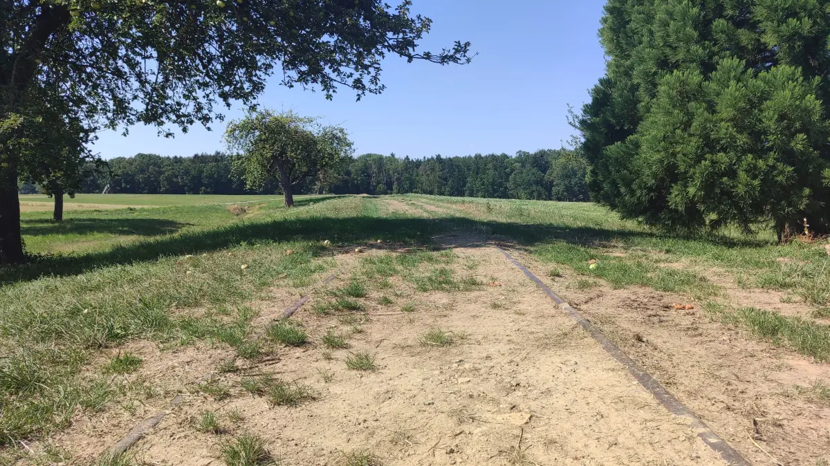Am Flugplatz Malmsheim: Ehemalige Gleise als Feldweg