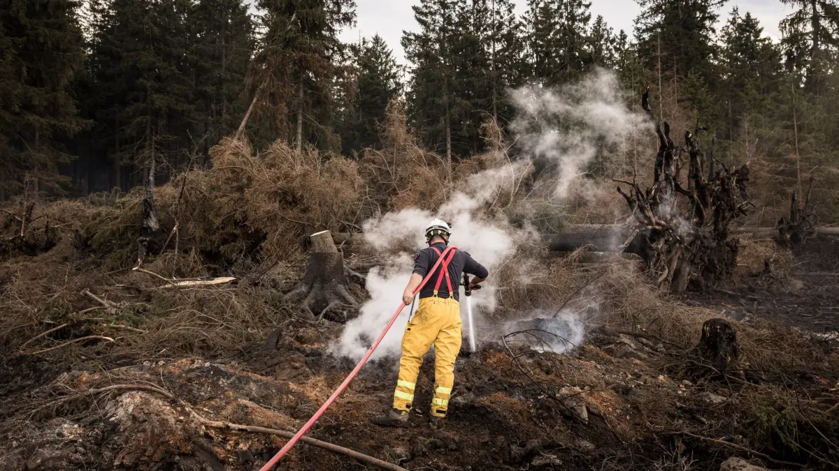 Waldbrand im Hohen Venn