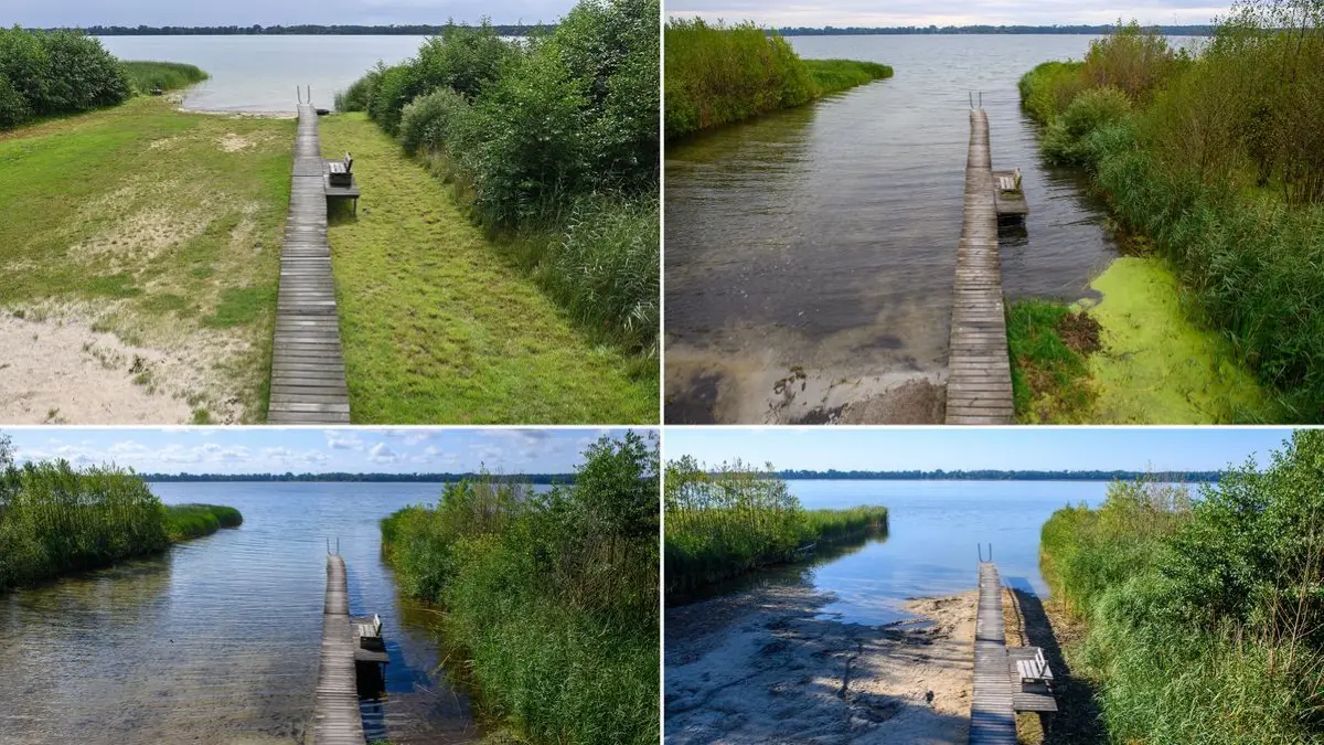 Hier ist eine Badestelle am Ufer des Arendsees in der Altmark zu sehen - im Jahr 2023 (oben links), 2024 (oben rechts), 2025 (unten links) und 2026 (unten rechts).