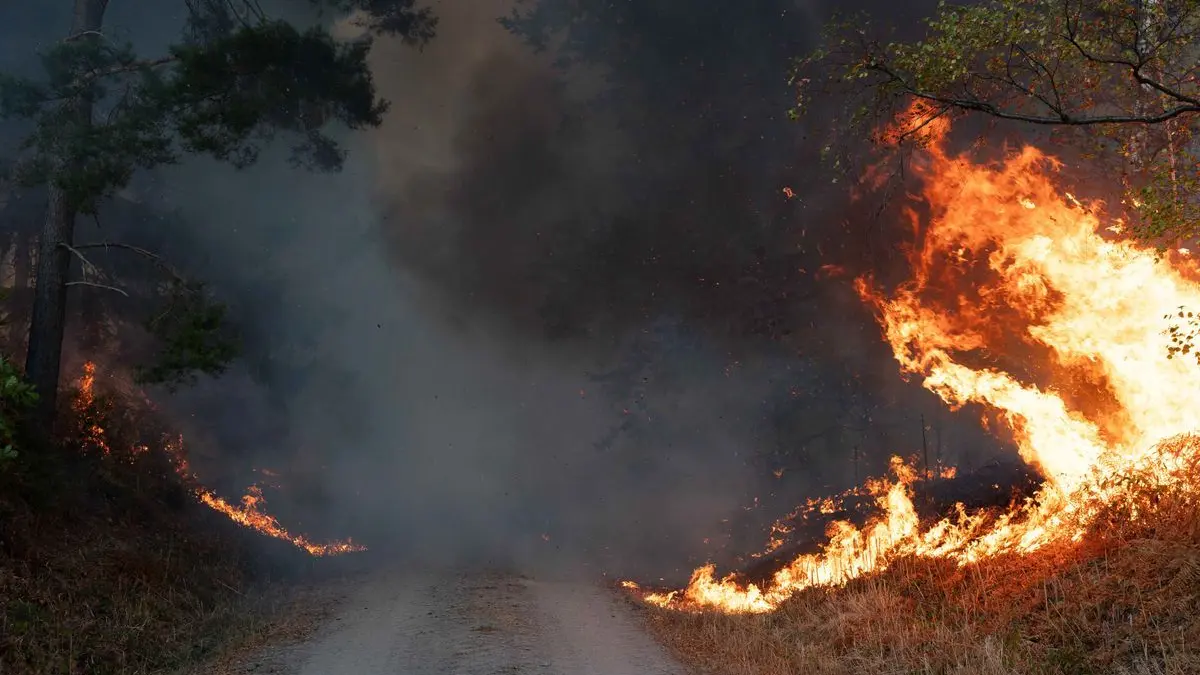 Waldbrände - wie hier im Hürtgenwald in Nordrhein-Westfalen - werden meist durch den Menschen verursacht. Doch der Klimawandel macht die Bedingungen dafür wahrscheinlicher.