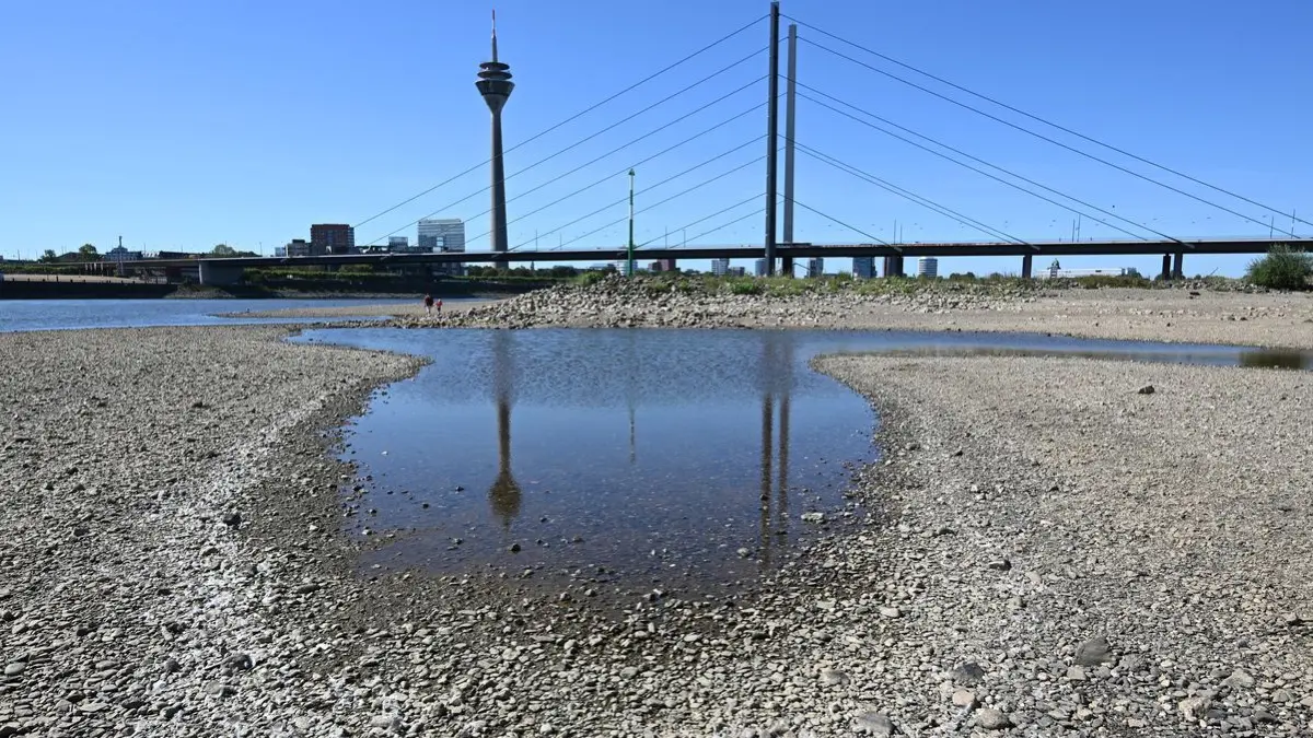 Der Rheinturm spiegelt sich bei niedrigem Wasserstand auf dem Rhein in einer Lache.