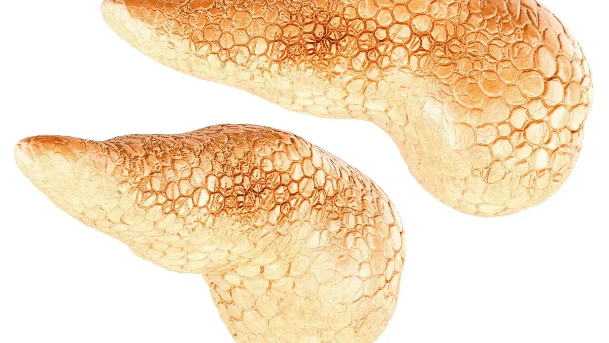 Der Tumor entwickelt sich schleichend, verursacht lange keine oder nur unspezifische Symptome. Umso wichtiger: es ernst nehmen, wenn der Körper doch Signale sendet.