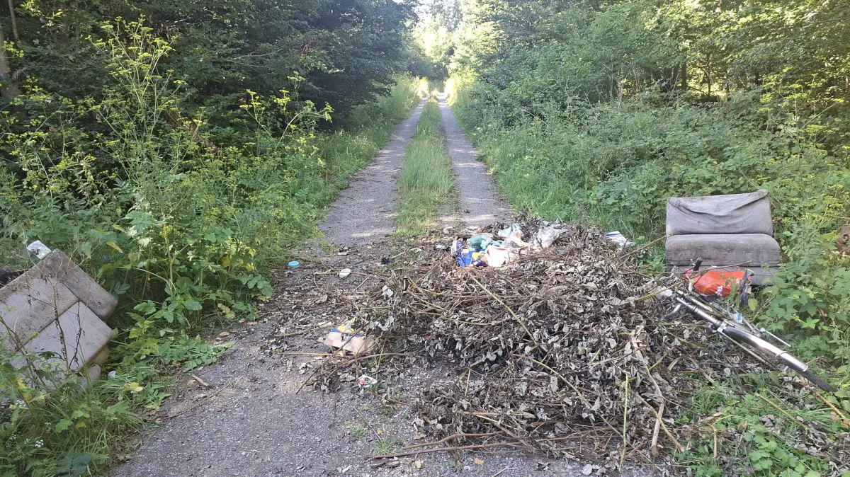 Wilder Müll liegt auf einem Waldweg bei Weil im Schönbuch.