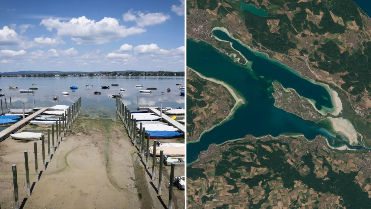 Der extrem niedrige Wasserstand am Bodensee: Sogar aus dem Weltall sichtbar.