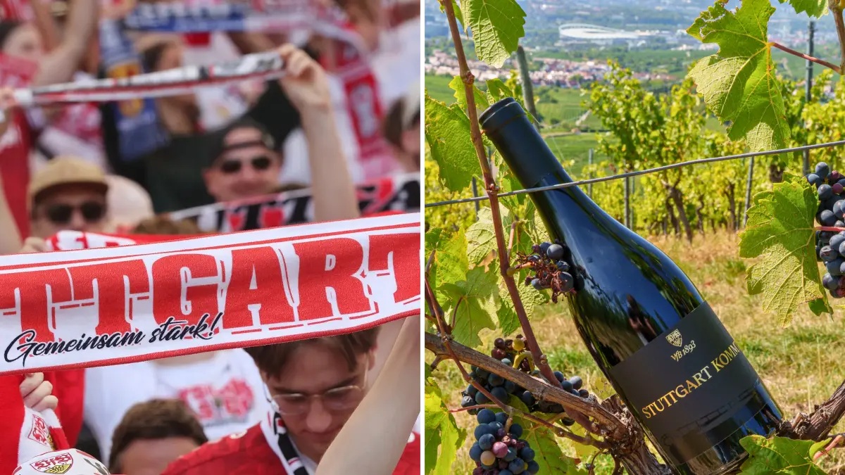 VfB-WEin