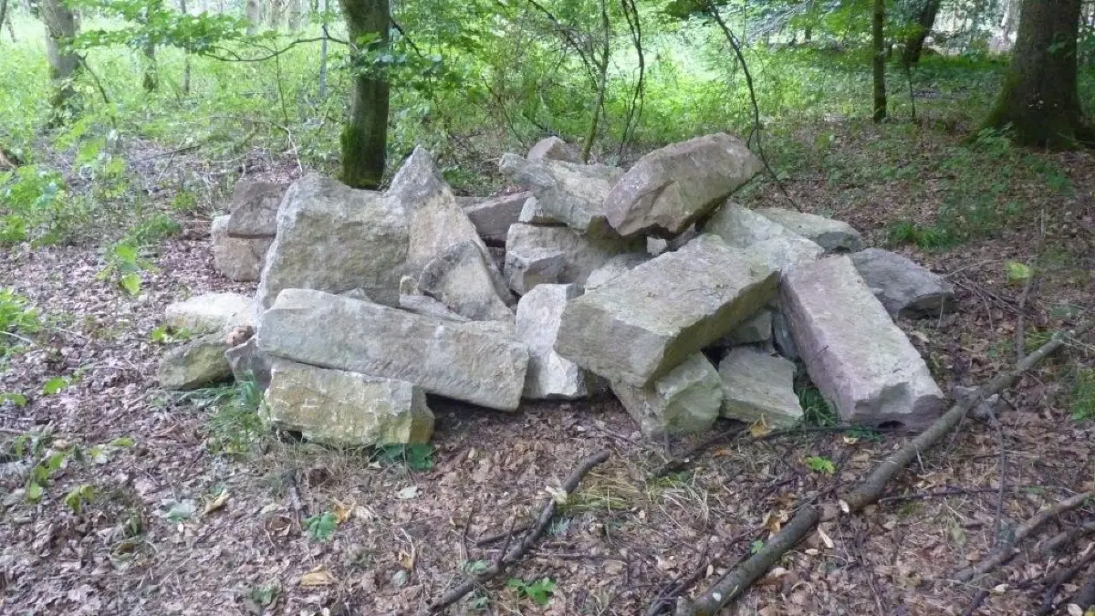 Dekenpfronn Bauschutt 2.1