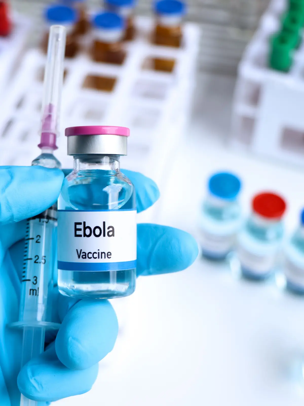 Die existierenden Ebola-Impfstoffe schützen vor der Zaire-Variante, die einige der größten Ebola-Ausbrüche in Afrika verursacht hat. Die Bundibugyo-Variante verursachte vor der aktuellen Epidemie bislang nur zwei Ausbrüche weltweit: 2007 in Uganda und 2012 im Kongo.