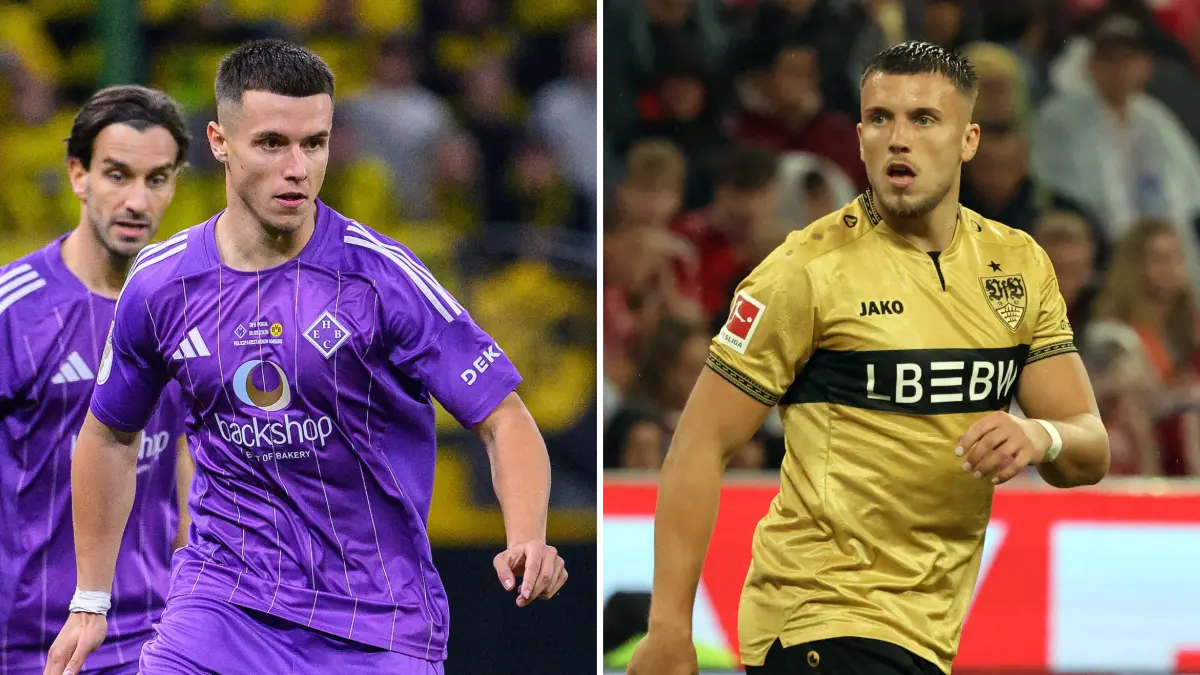 Semir Demirovic, Ermedin Demirovic
