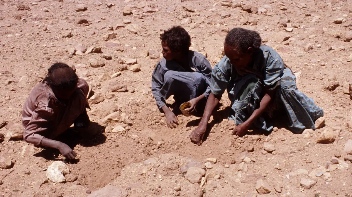 Die Folgen von Wetterextremen wie El Nino bedeuten für Millionen von Menschen in Afrika vor allem eins: Hunger. Noch mehr Hunger. Und Tod (Archivfoto).