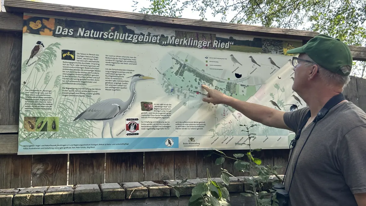 Im Naturschutzgebiet Merklinger Ried fließt das Wasser aus den Quellen durch die tiefer liegende Würm ab.