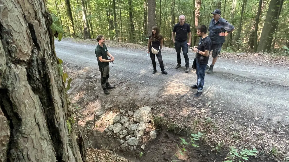Von der Rigole unter dem Waldweg sind nur die groben Steine zu erkennen.