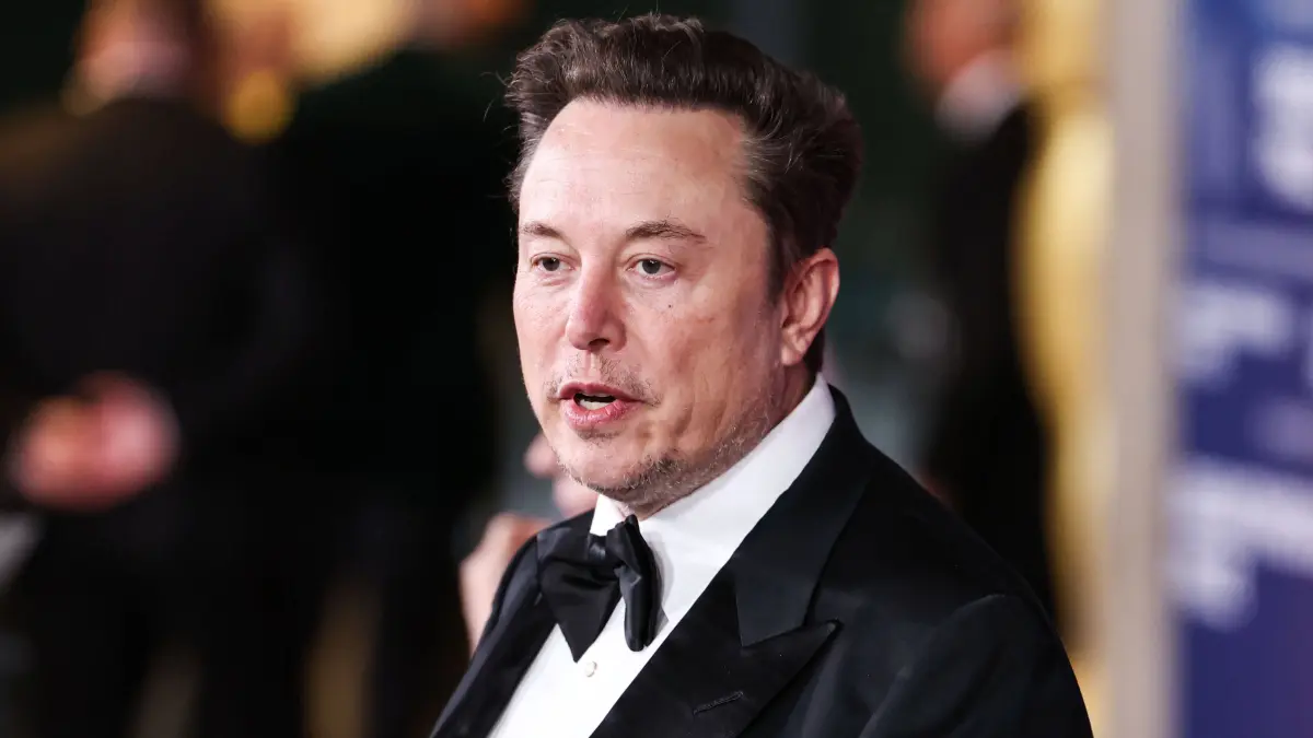 „Dario hat Recht“, schreibt SpaceX-Ceo Elon Musk in seinem Onlinedienst X