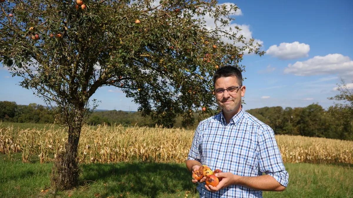 Christian Elser auf seiner Streuobstwiese in Markgröningen: „Die meisten Äpfel haben Macken durch den Hagel erlitten, sind höchstens für Mus oder Saft noch zu verwenden.“