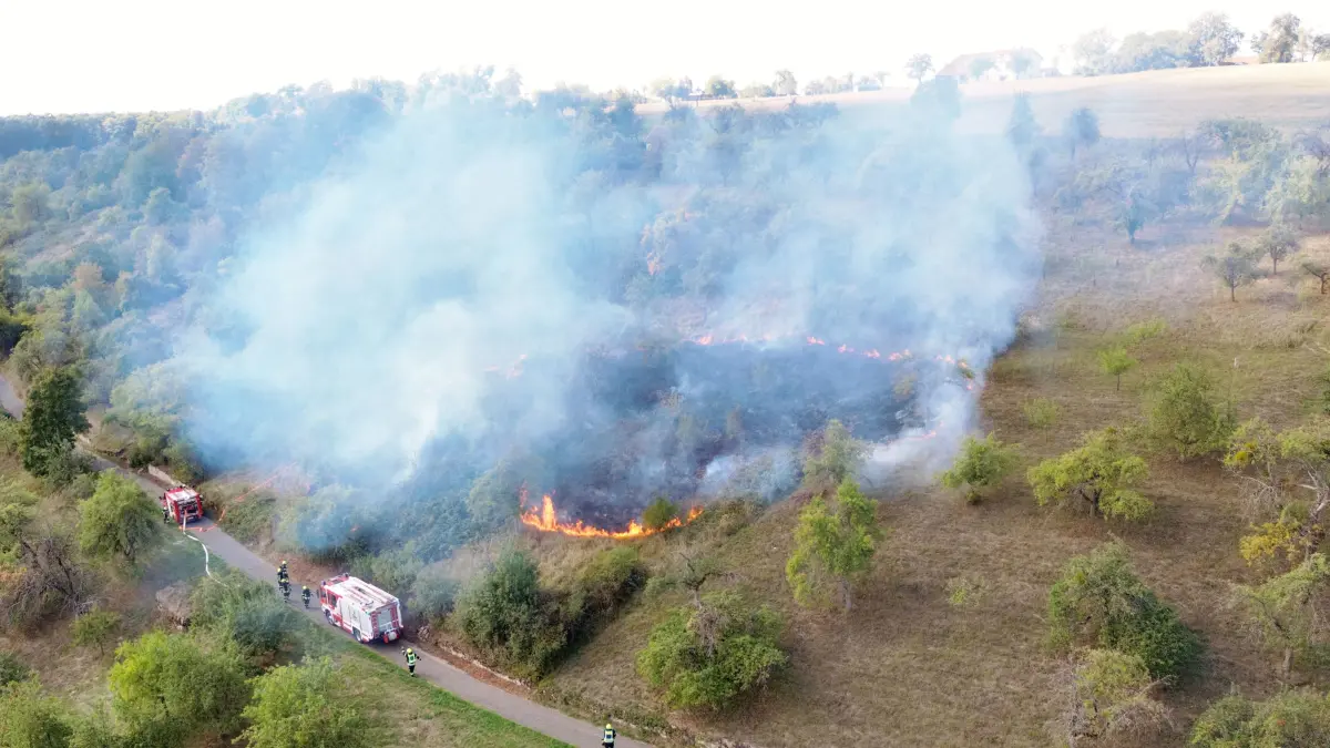 Größerer Wiesenbrand bei Rudersberg-Necklinsberg - Flammen on Tape - Feuerwehr löscht