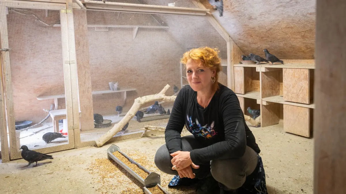 Stadttauben-Projekt Stuttgart: Stuttgart, Baden-Württemberg, 15.09.2026:
Julia Bischoff kümmert sich mit dem Stadttauben-Projekt Stuttgart um die Vögel in Stuttgart. U.a. werden Taubenschläge wie der am Marienplatz betreut
Im Bild: Julia Bischoff
Notiz: No model release. Kein Einverständnis für Werbung, keine Weitergabe an Dritte.