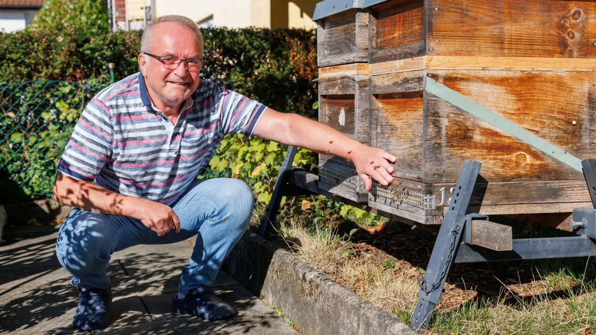 Peter Sohns: Holzgerlingen, Imker, Bienen, Hornissen, Asiatische Hornisse,