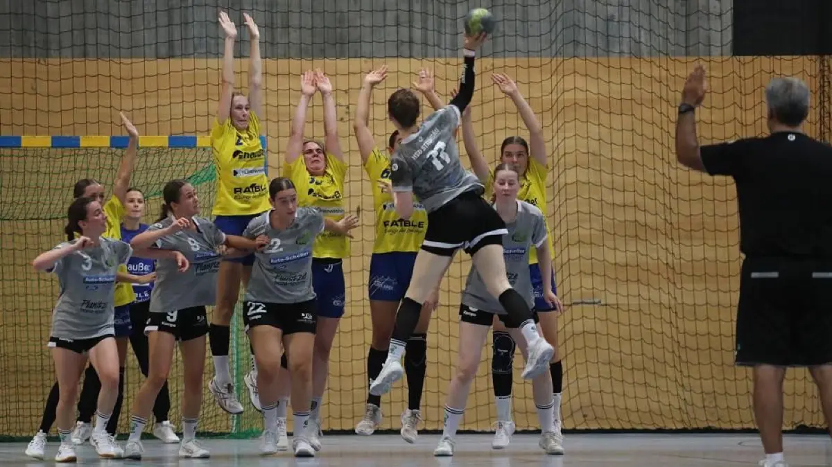 Handball, SV Leonberg/Eltingen, Wildcats, Frauen, Oberliga, Testspiel gegen HSG Strohgäu