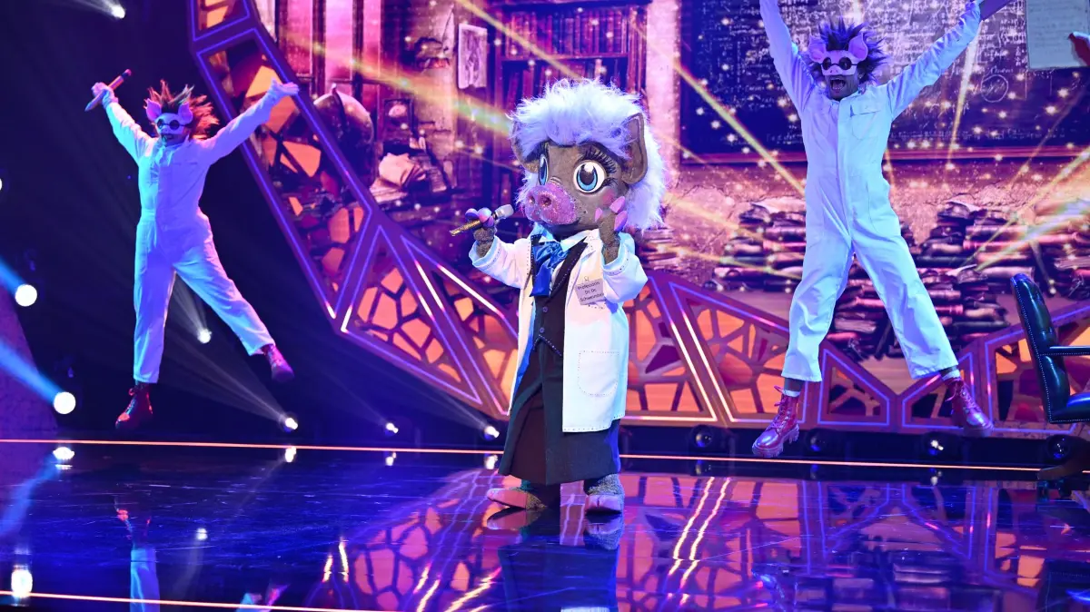 Professorin Dr. Dr. Schweinstein
