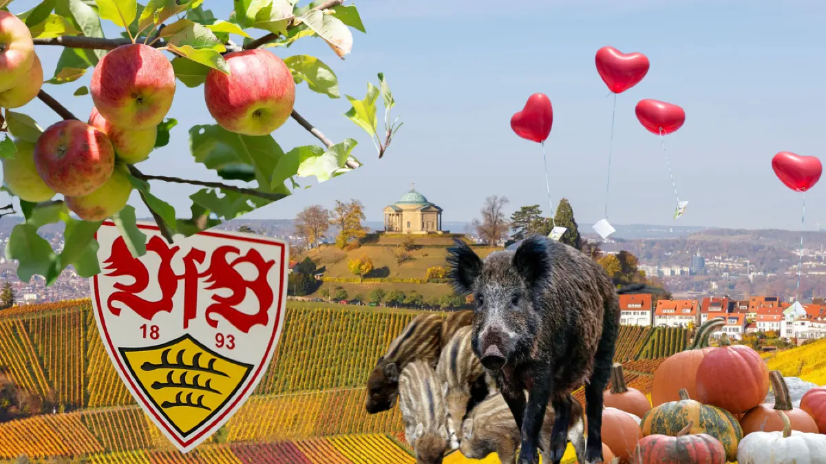 Collage zu Dating im Herbst