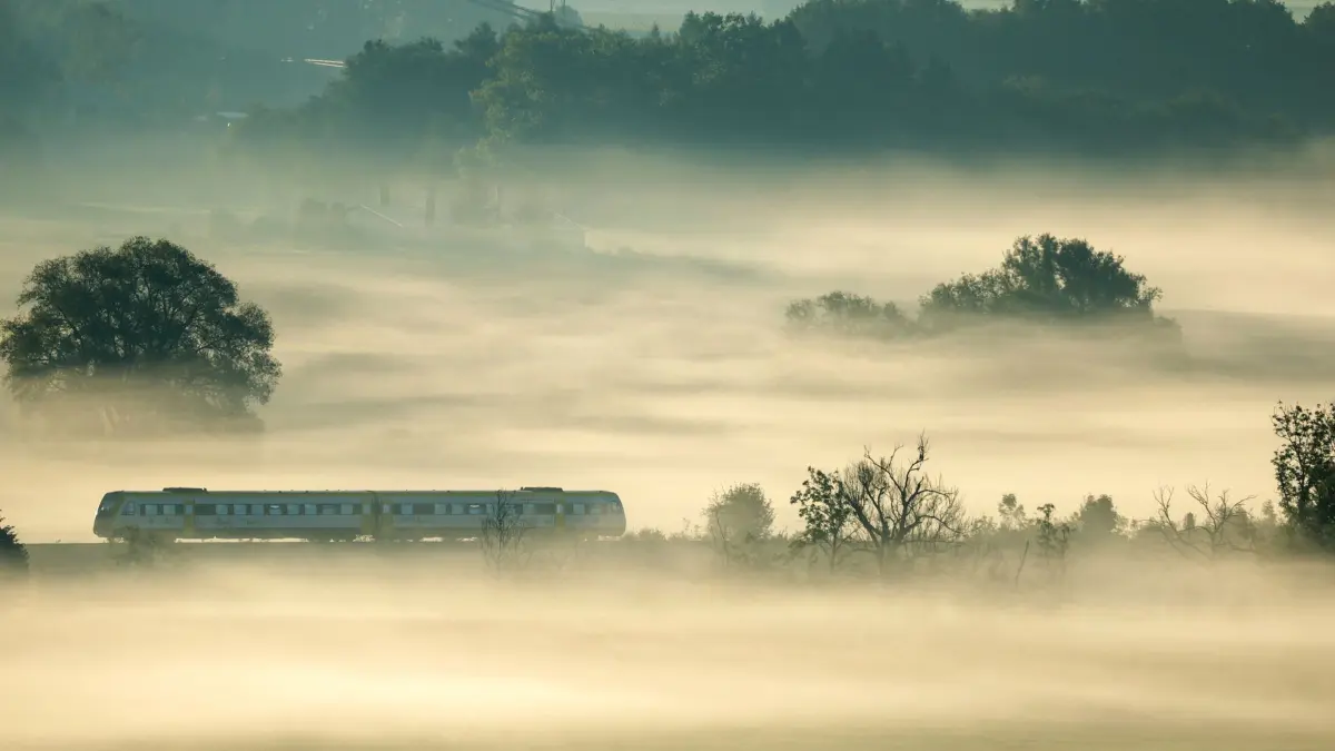 Weather: Foggy start - | This is how the weather will develop throughout ...