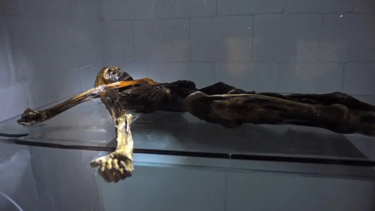 Gletscher-Mumie Ötzi in der Bozener Kältekammer.