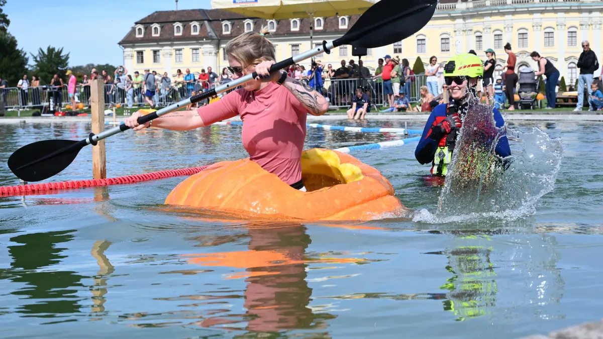 Blühba LB
Kürbisregatta
2036
