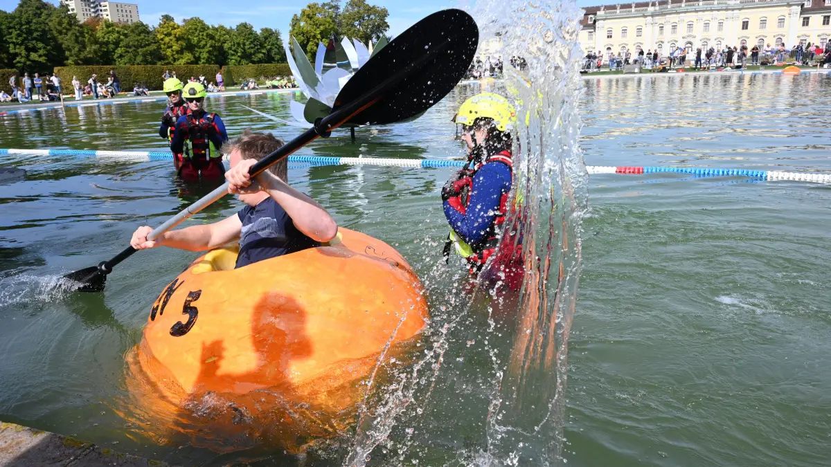 Blühba LB
Kürbisregatta
2036