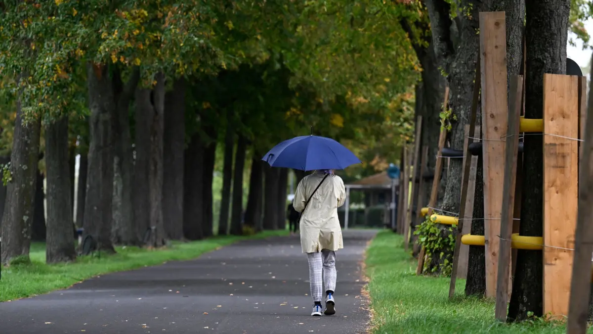 Wetter in Nordrhein-Westfalen: 20.09.2026, Nordrhein-Westfalen, Köln: Eine Spaziergängerin an den Poller Wiesen schützt sich mit einem Schirm vor dem Regen. Die Meteorologen sagen für die nächste Woche wechselhaftes Wetter mit Regen und Temperaturen um die 20 Grad voraus. Foto: Roberto Pfeil/dpa +++ dpa-Bildfunk +++