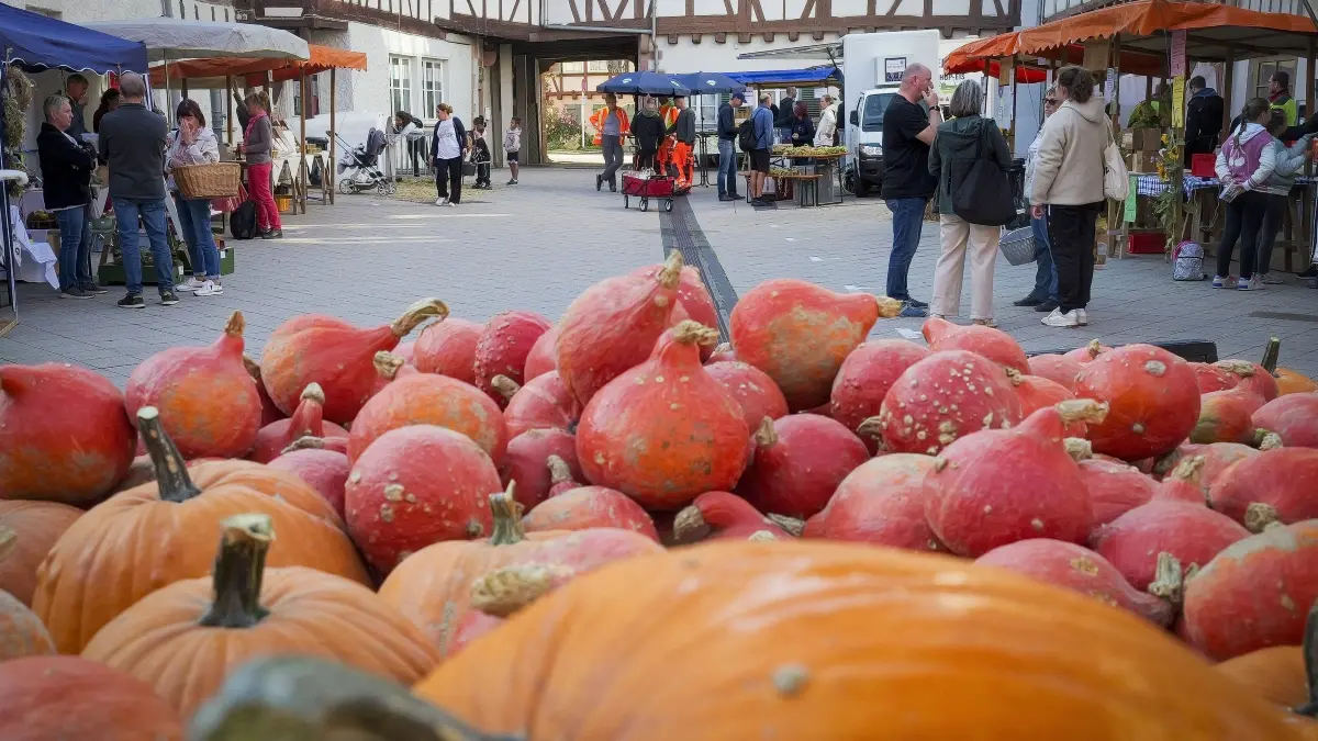 Bauernmarkt: Weilderstadt Weil der Stadt - Bauernmarkt im Spitalhof