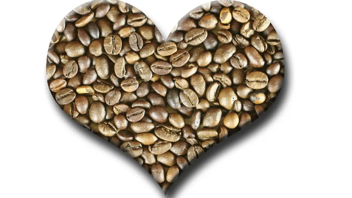 Herz aus Kaffeebohnen: Ein moderater Kaffeekonsum von drei bis fünf Tassen am Tag ist für die Mehrheit der gesunden Erwachsenen unbedenklich und sogar gut für das Herz. Studien zeigen, dass regelmäßiger, mäßiger Kaffeegenuss das Risiko für Herz-Kreislauf-Erkrankungen, Herzinsuffizienz und Herzrhythmusstörungen (wie Vorhofflimmern) senken kann.