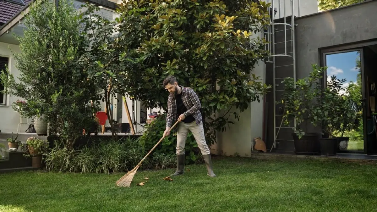 Der Rasen freut sich im Herbst über richtige Pflege, damit er den Winter gut übersteht.